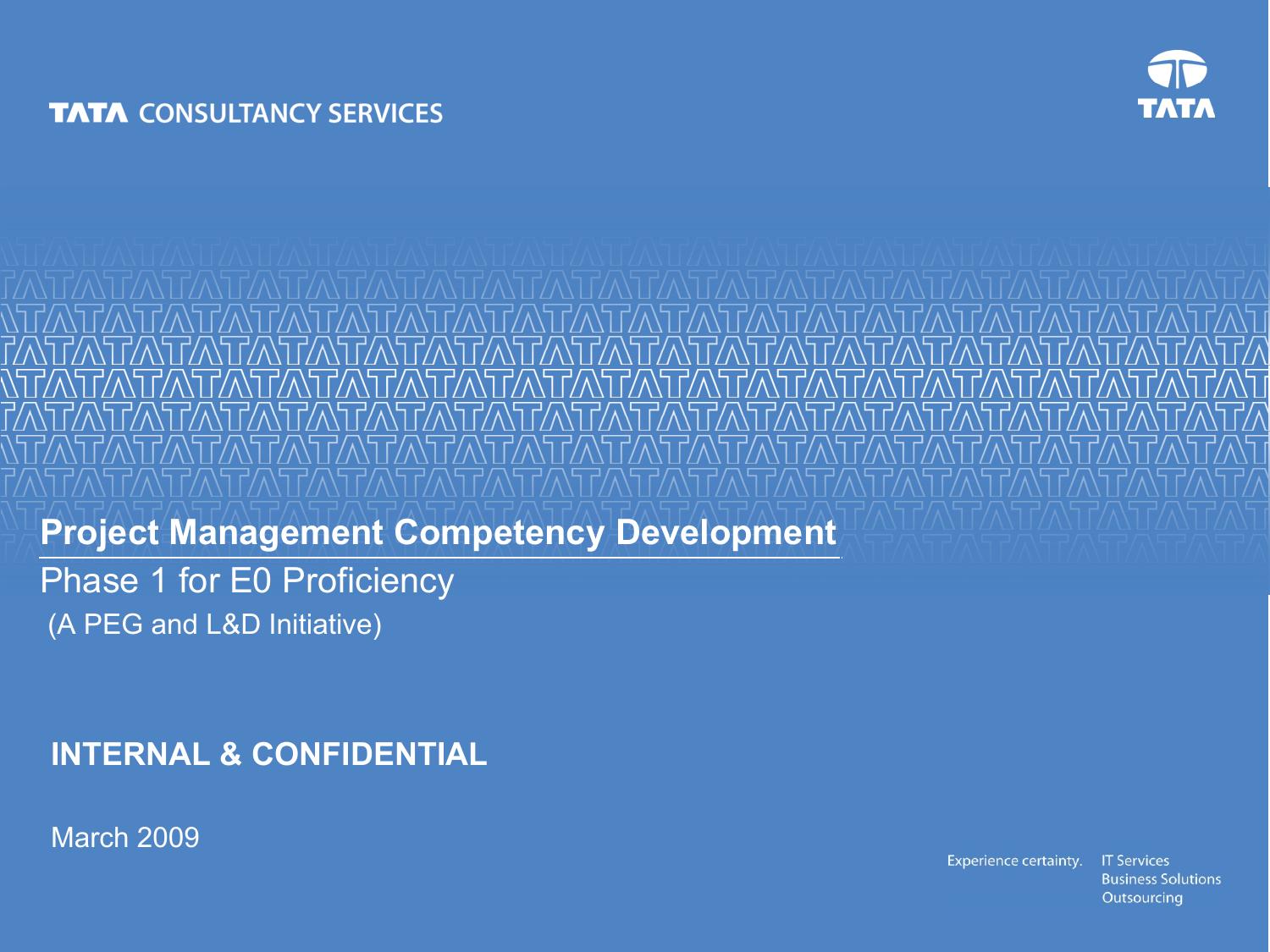 Project Management Competency Development