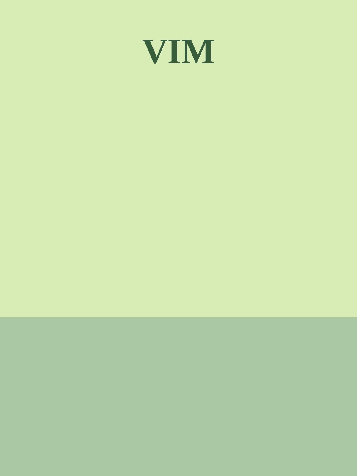 VIM